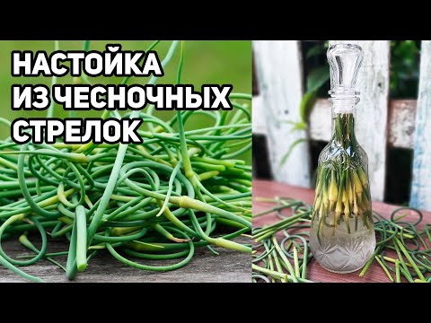 Видео: УКРЕПЛЯЕТ СЕРДЕЧНУЮ МЫШЦУ ПОЛЕЗЕН В ПОЖИЛОМ ВОЗРАСТЕ ЭЛИКСИР ЖИЗНИ