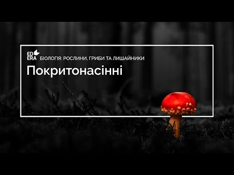 Видео: Загальна характеристика грибiв (Шапкові гриби та гриби паразити). Відео 1 6 1 2