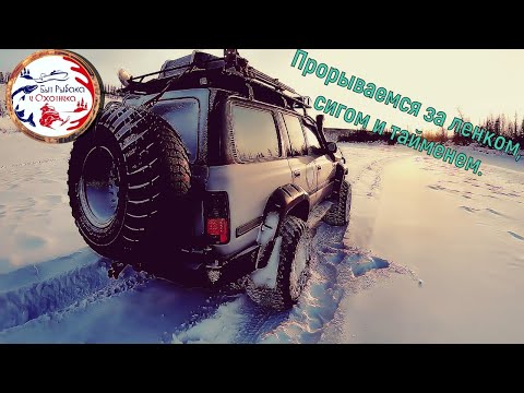 Видео: Рыбалка на реке Моркока. Якутия. Весна 2021.