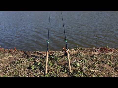 Видео: Карась на Pop-Up и другая разнорыбица на донку и Flat-Method Feeder