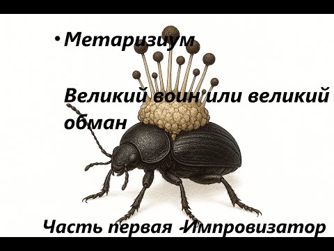 Видео: Метаризиум. Великий воин или великий обман. Часть первая - Импровизатор.