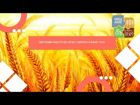 Видео: Запись семинара  от 24 августа 2023 года