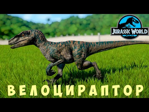 Видео: 🦖 Jurassic World Evolution: ВЕЛОЦИРАПТОР