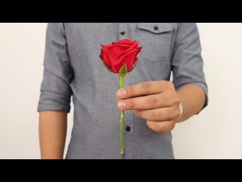 Видео: Вот Это Да! 7 простых магических трюков