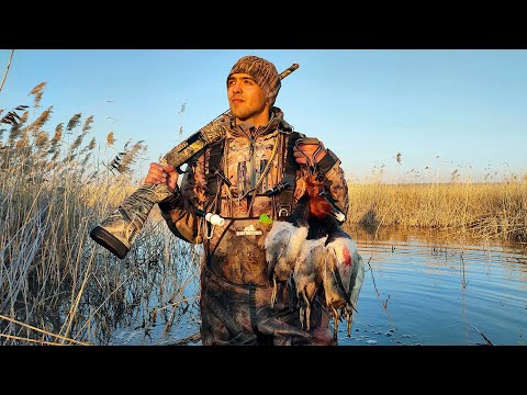 Видео: Супер-охота на селезня | Стаи красноголовиков садились на голову