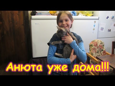 Видео: Забрали Аню домой. Воссоединение семьи! (04.18г.) Семья Бровченко.