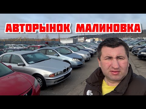 Видео: АВТОРЫНОК МАЛИНОВКА // БОЛЬНО СМОТРЕТЬ. Ноябрь 2025😬