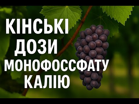 Видео: Монофосфат калію: міфи та реальність