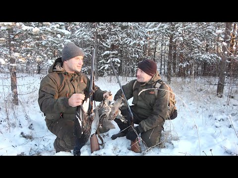 Видео: С ДЕДОВСКИМИ РУЖЬЯМИ НА ОХОТУ. ИЖ-54 и ИЖ-17. Охота на рябчика и тетерева в мороз.