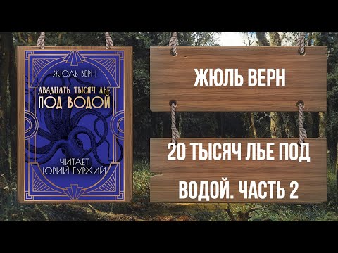 Видео: ЧАСТЬ 2. ЖЮЛЬ ВЕРН - ДВАДЦАТЬ ТЫСЯЧ ЛЬЕ ПОД ВОДОЙ