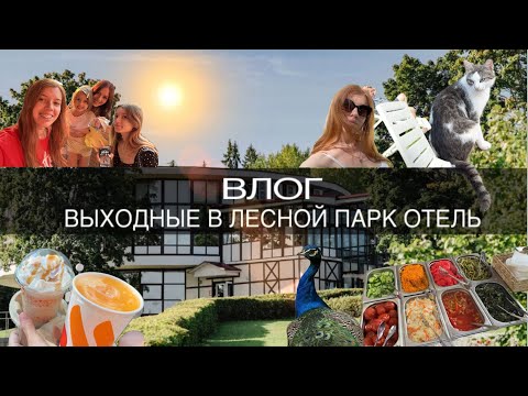 Видео: ВЛОГ | отдых с семьей в лесной парк отель на 2 дня в подмосковье | шведский стол | обзор номера