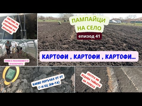 Видео: КАРТОФИ,КАРТОФИ,КАРТОФИ | епизод 41 от поредицата "ПАМПАЙЦИ НА СЕЛО