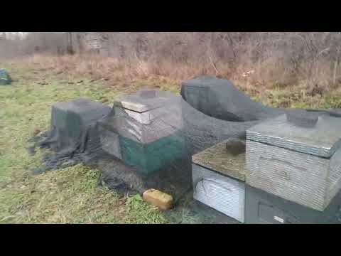 Видео: 1 .Января  .Соблюдаем традиции