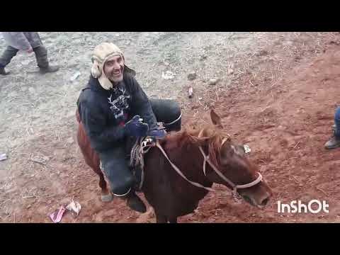 Видео: МУСОБИҚАИ БУЗКАШИИ КОРИ КАЛОН  САБЗИХАРФ ҚИСМИ 2