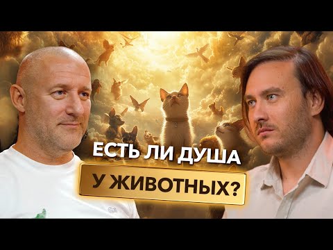 Видео: Есть ли душа у животных?