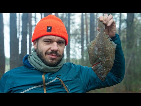 Видео: Камбала з овочами за 7 хвилин на Кострі ASMR |