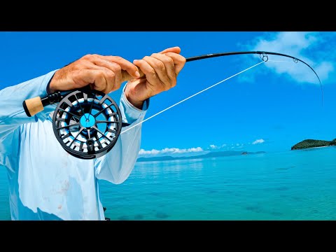 Видео: Невозможно поймать (единорог нахлыста)