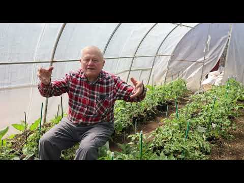 Видео: Как спасти растения от майских заморозков без покупных стимуляторов. Советы от Г. Распопова.