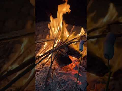 Видео: Кайфовый вечер у костра... еще бы живые песни под гитару...