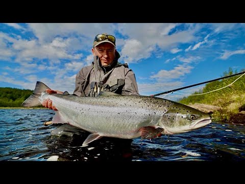 Видео: Лучший профессиональный фильм о реке Йоканьга. 2022