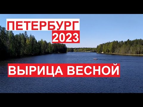 Видео: #Вырица весной 2023 | Красивейшие места Питера