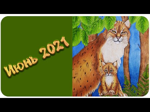Видео: Раскрашено в июне 2021 /Что я раскрасила за июнь