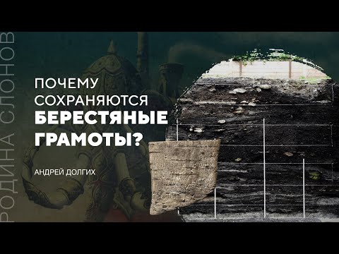 Видео: Почему сохраняются берестяные грамоты? Андрей Долгих. Родина слонов №295