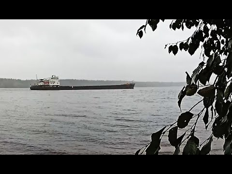 Видео: Половить рыбки в новые места! Заварил чаю, поджарил картошечки! Доволен как слон.