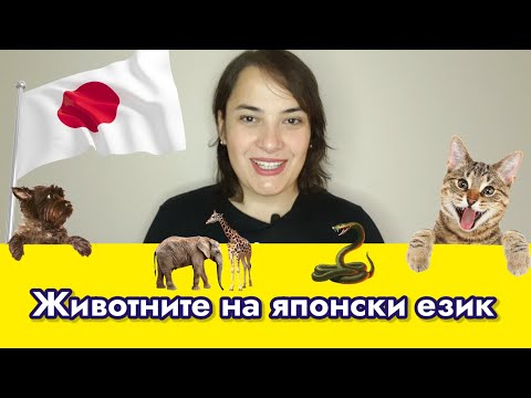 Видео: Животните на ЯПОНСКИ ЕЗИК