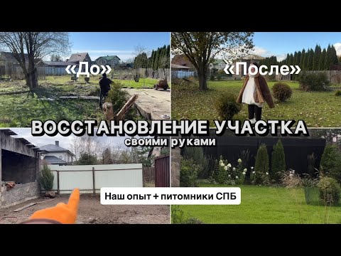 Видео: Как мы восстановили участок с нуля | Озеленение и питомники СПб | Лето 2025