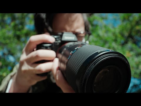 Видео: Sony 100mm f/2.8 GM OSS — их лучший макрообъектив на данный момент почти идеален (за исключением ...