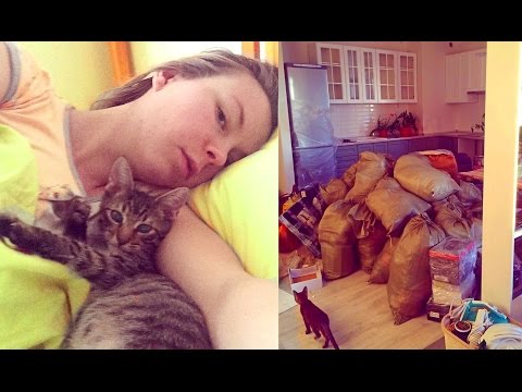 Видео: ПЕРЕЕЗД в новую квартиру / Косяк на косяке