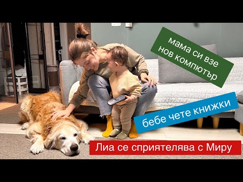 Видео: Лиа се сприятелява с голдъна Миру 🐶 14 месечно бебе чете книжки 📚 Мама има нов компютър .