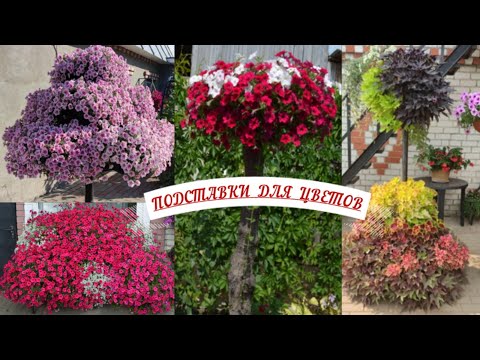 Видео: Подставки для цветов с размерами.