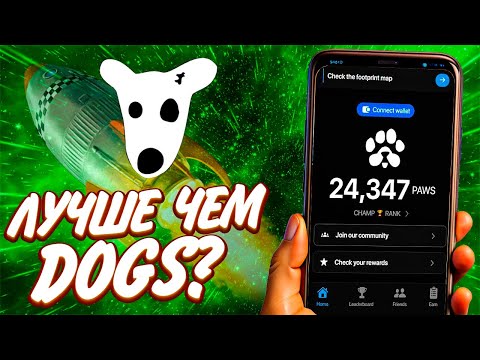 Видео: PAWS, возможно лучше чем DOGS?