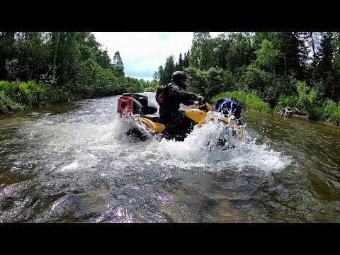 Видео: В тайгу на квадроциклах Polaris и CFMoto 500.