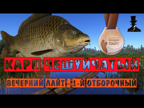 Видео: Карп Чешуйчатый. Вечерний Лайт - 1-й отборочный. Русская Рыбалка 4.