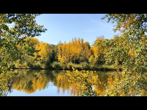 Видео: Осенние симптомы