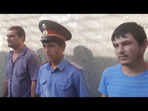 Видео: Боздошти қотилони як оила дар ноҳияи Ҷайхун