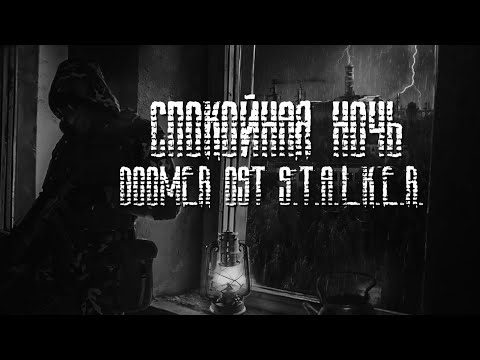 Видео: СПОКОЙНАЯ НОЧЬ. КИНО. DOOMER VERSION OST STALKER