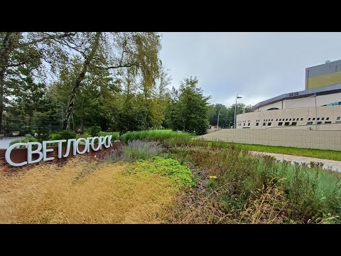 Видео: Музей Мирового океана в Солнечногорске в здании Янтарь-холл