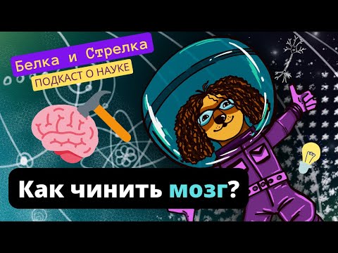 Видео: Подкаст "Белка и Стрелка". S3E20. Как чинить мозг? В гостях Анастасия Неклюдова