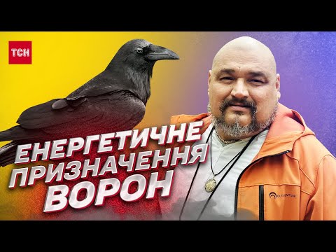 Видео: ❗ Вестники Апокалипсиса или очистители мира? ВСЕ О ВОРОНЕ! | Овен Стефан