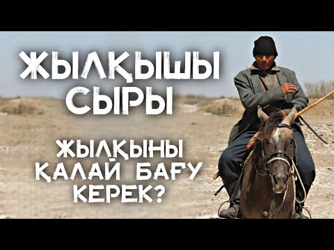 Видео: ЖЫЛҚЫ БАҒАМ ДЕЙТІН ӘР АДАМ КӨРСІН❗🐎 - Жылқы Жайлы