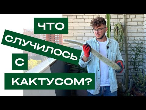 Видео: ПЕРЕУКОРЕНЕНИЕ