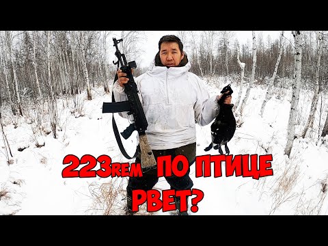 Видео: Сайга в калибре 223rem рвет птицу? или НЕТ? Смотрим!