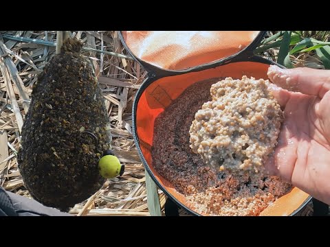 Видео: Осенний клёв, закормил этой кашей и наловил много крупных карасей и карпа, рыбалка на флэт фидер