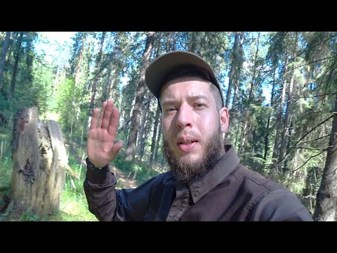 Видео: Инвестор 2 года. Результаты и что я понял. ИИС, минуса, спекуляции и вообще что делаю и делал в 2022