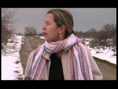 Видео: Филм портрет на художника Галя Цветкова"По пътя" /Галя Цветкова художник