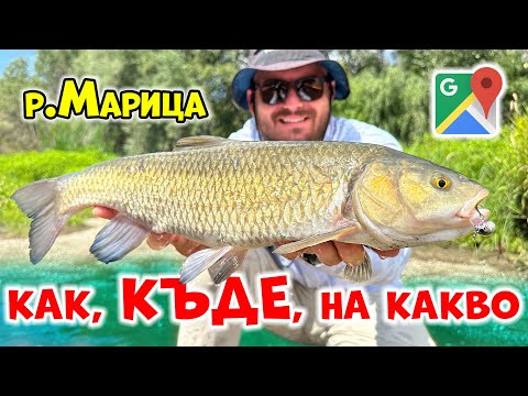 Видео: Как, КЪДЕ и на КАКВО? Места за риболов на река Марица край Пловдив! Риболов на кефал за начинаещи.